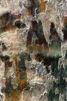 AP 34A1